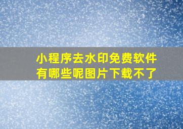 小程序去水印免费软件有哪些呢图片下载不了