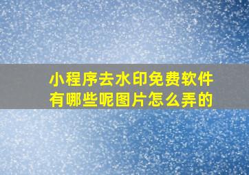 小程序去水印免费软件有哪些呢图片怎么弄的