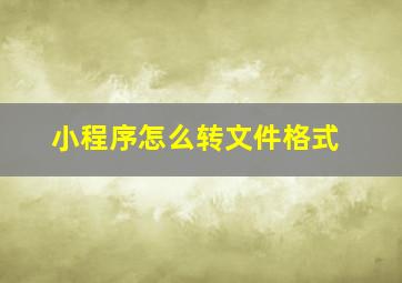 小程序怎么转文件格式