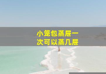 小笼包蒸屉一次可以蒸几屉