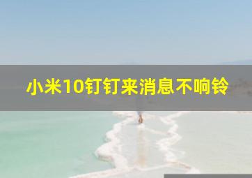 小米10钉钉来消息不响铃