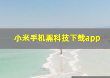 小米手机黑科技下载app