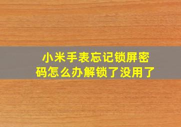 小米手表忘记锁屏密码怎么办解锁了没用了