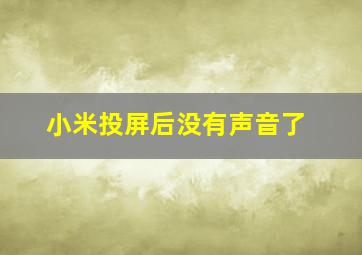 小米投屏后没有声音了