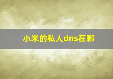 小米的私人dns在哪