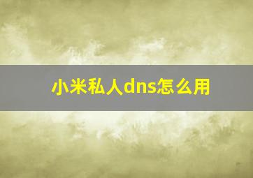 小米私人dns怎么用