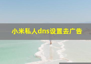 小米私人dns设置去广告