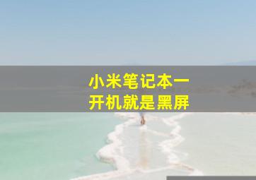 小米笔记本一开机就是黑屏