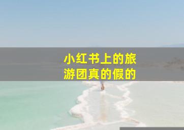 小红书上的旅游团真的假的