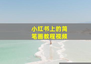 小红书上的简笔画教程视频