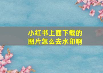 小红书上面下载的图片怎么去水印啊