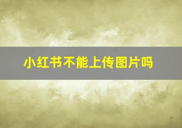 小红书不能上传图片吗