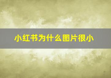 小红书为什么图片很小