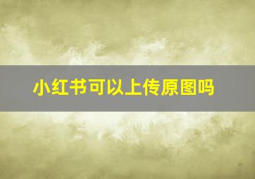 小红书可以上传原图吗