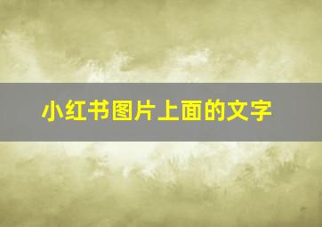 小红书图片上面的文字