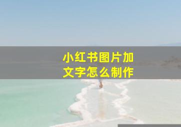 小红书图片加文字怎么制作