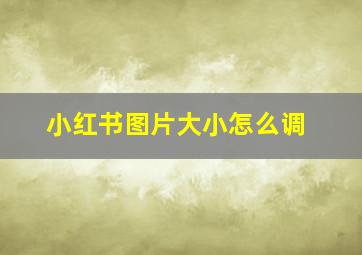 小红书图片大小怎么调