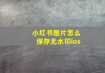 小红书图片怎么保存无水印ios