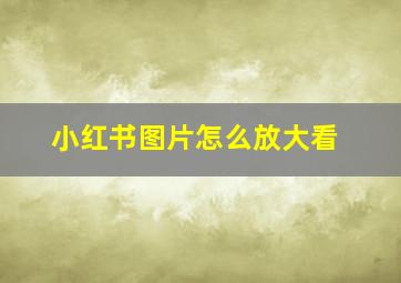 小红书图片怎么放大看