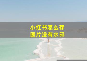 小红书怎么存图片没有水印