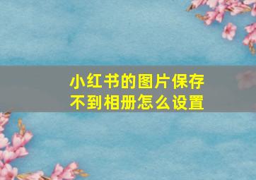 小红书的图片保存不到相册怎么设置