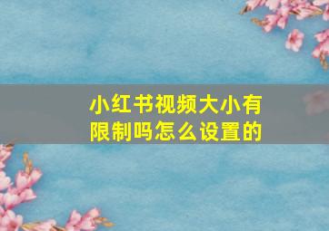 小红书视频大小有限制吗怎么设置的