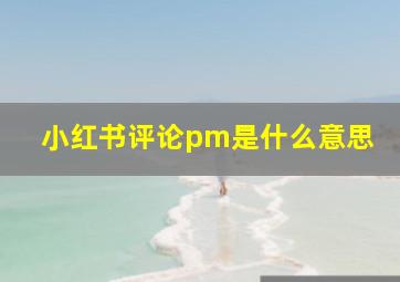 小红书评论pm是什么意思