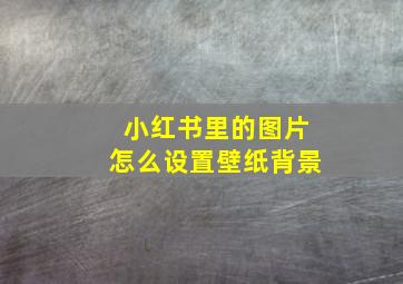 小红书里的图片怎么设置壁纸背景