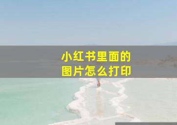 小红书里面的图片怎么打印