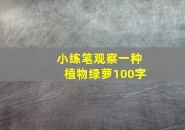 小练笔观察一种植物绿萝100字