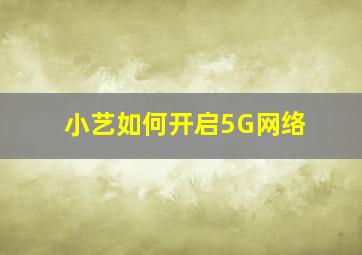 小艺如何开启5G网络