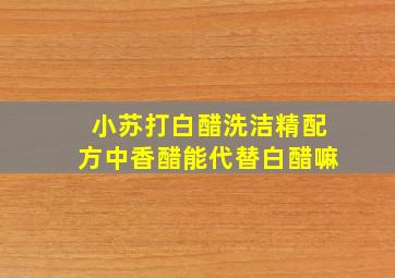 小苏打白醋洗洁精配方中香醋能代替白醋嘛