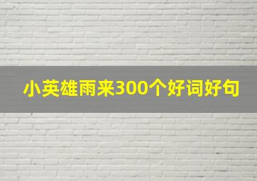 小英雄雨来300个好词好句