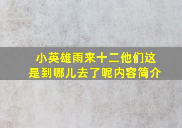 小英雄雨来十二他们这是到哪儿去了呢内容简介