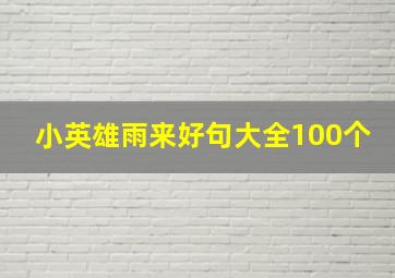 小英雄雨来好句大全100个