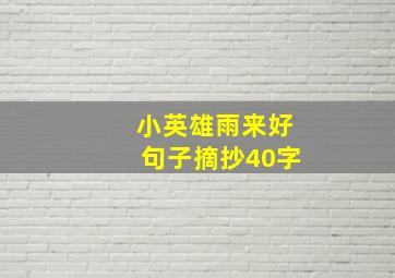 小英雄雨来好句子摘抄40字