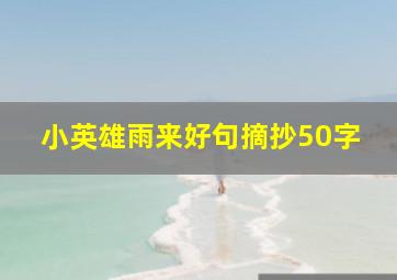 小英雄雨来好句摘抄50字