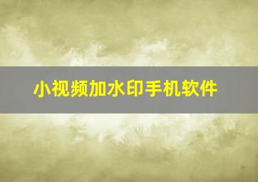 小视频加水印手机软件