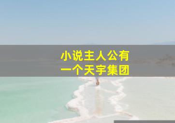 小说主人公有一个天宇集团