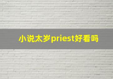 小说太岁priest好看吗