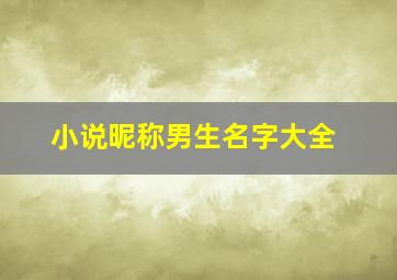 小说昵称男生名字大全