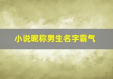 小说昵称男生名字霸气