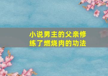 小说男主的父亲修练了燃烧肉的功法