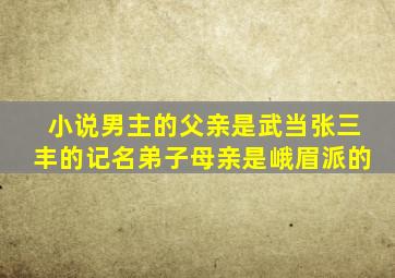 小说男主的父亲是武当张三丰的记名弟子母亲是峨眉派的