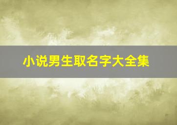 小说男生取名字大全集