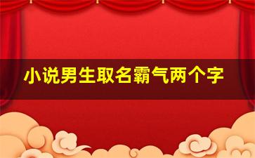 小说男生取名霸气两个字