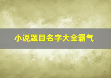 小说题目名字大全霸气