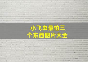 小飞虫最怕三个东西图片大全