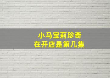 小马宝莉珍奇在开店是第几集