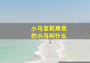 小马宝莉黑色的小马叫什么